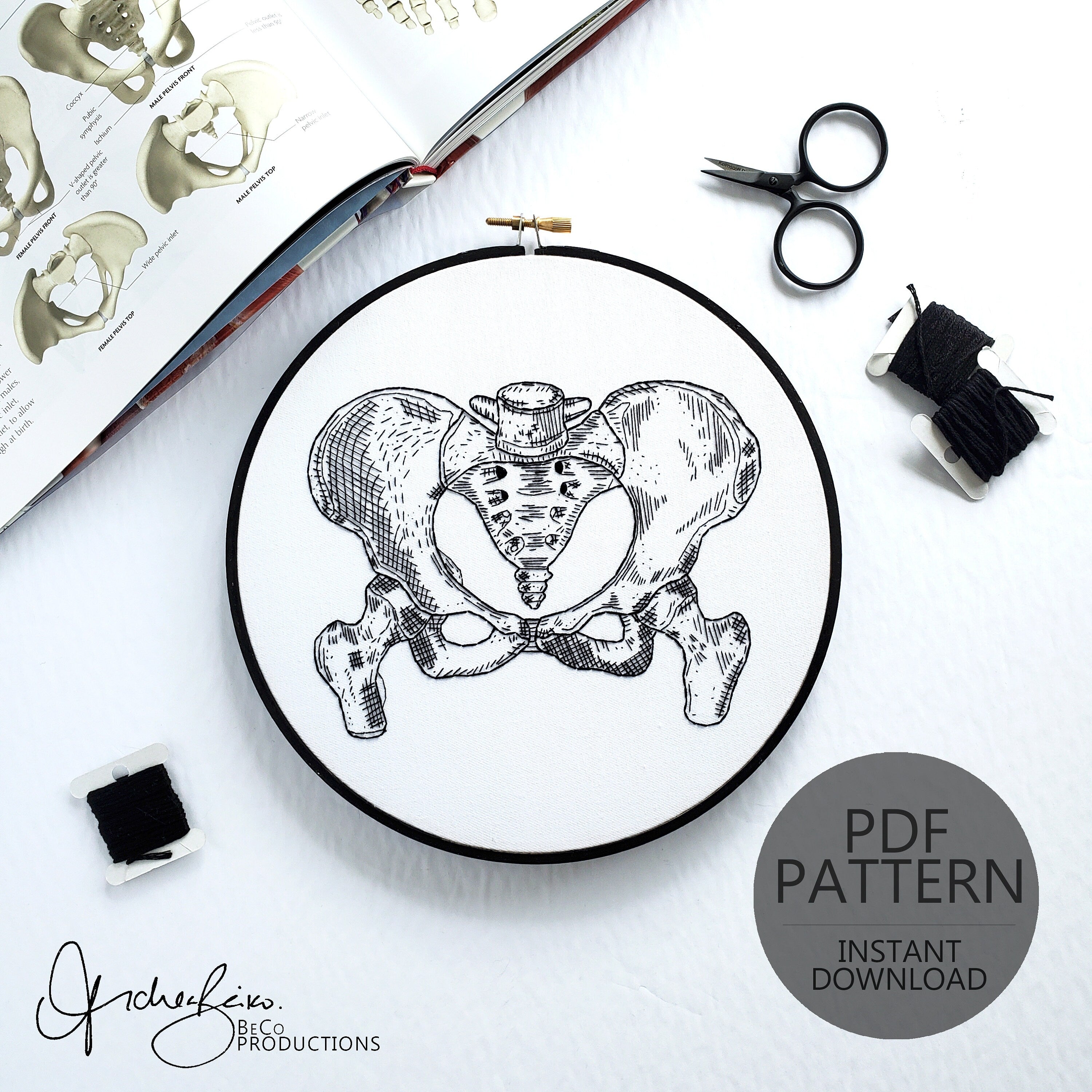Pelvis Anatomy - PDF Digital Download Embroidery Pattern & Guide