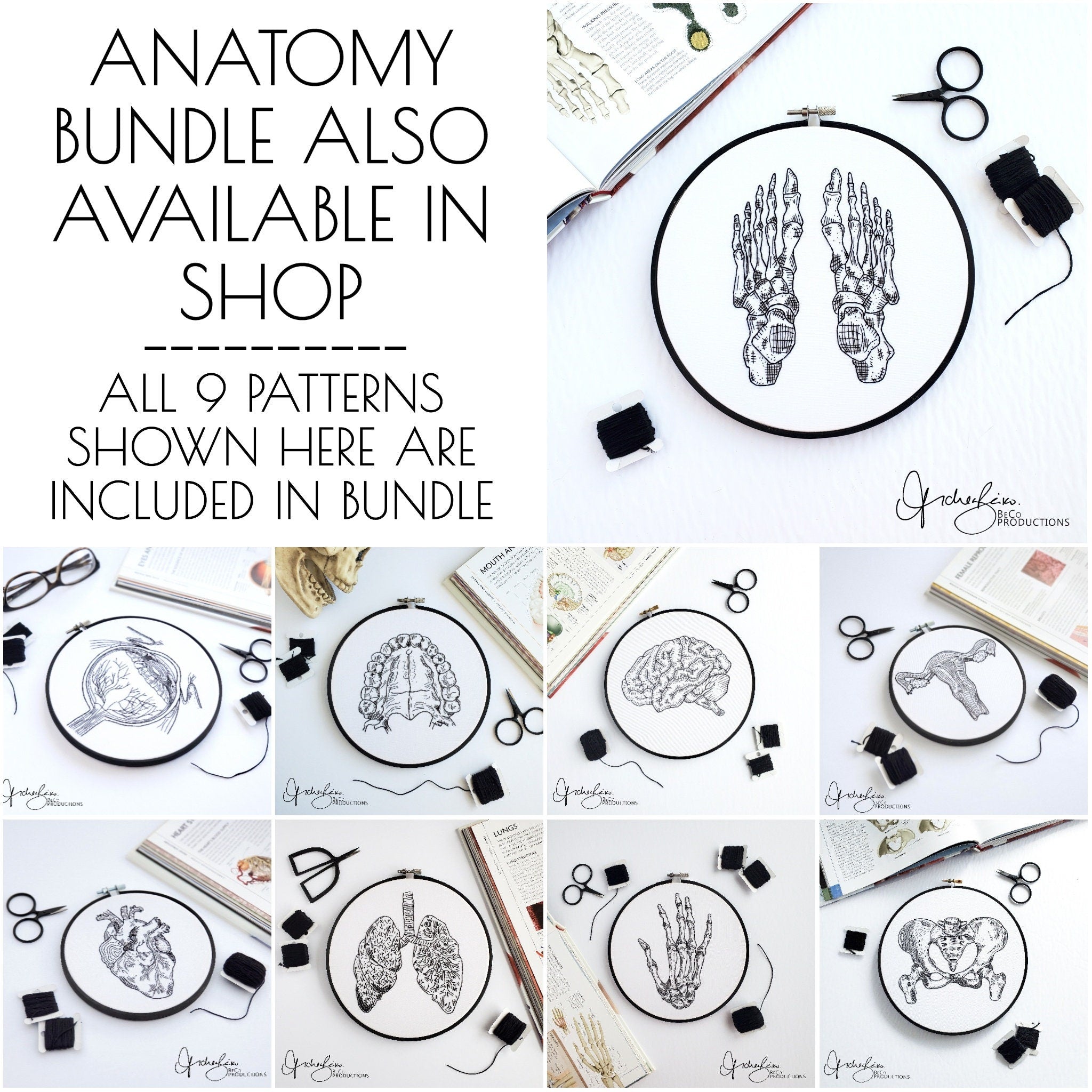 Brain Anatomy - PDF Digital Download Embroidery Pattern & Guide