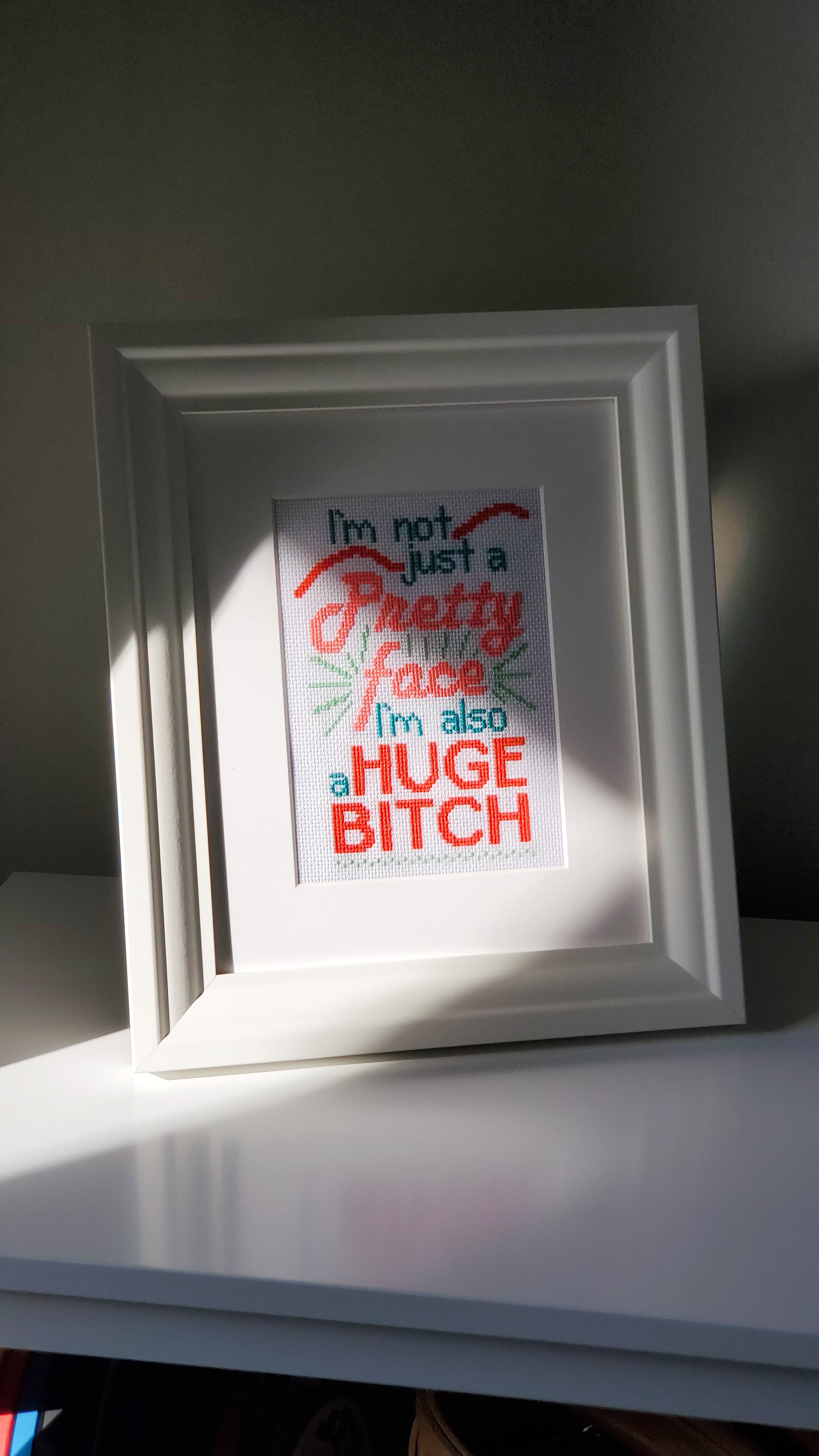 I'm Not Just A Pretty Face I'm Also A Huge Bitch - PDF Digital Download Cross Stitch Pattern & Guide (Copy)