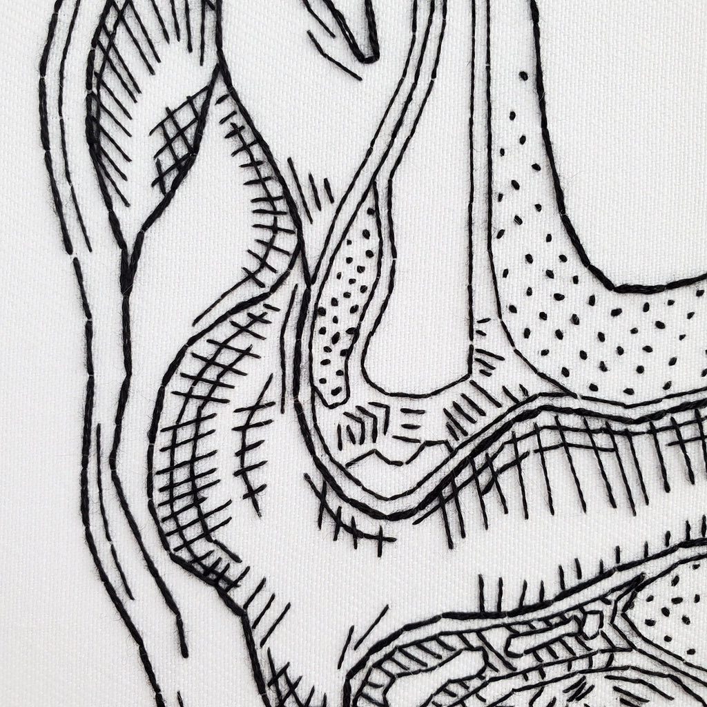 Ear and Inner Ear Anatomy - PDF Digital Download Embroidery Pattern & Guide