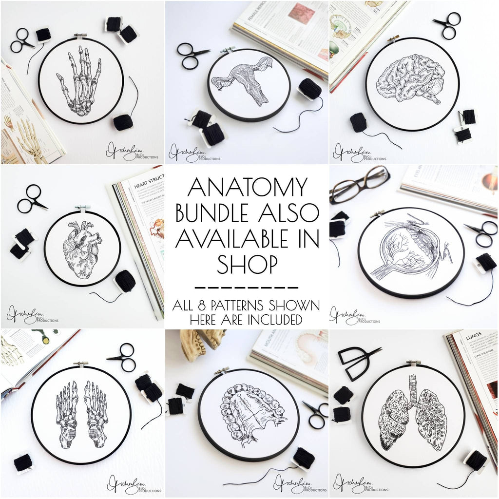 Teeth/Jaw Anatomy - PDF Digital Download Embroidery Pattern & Guide