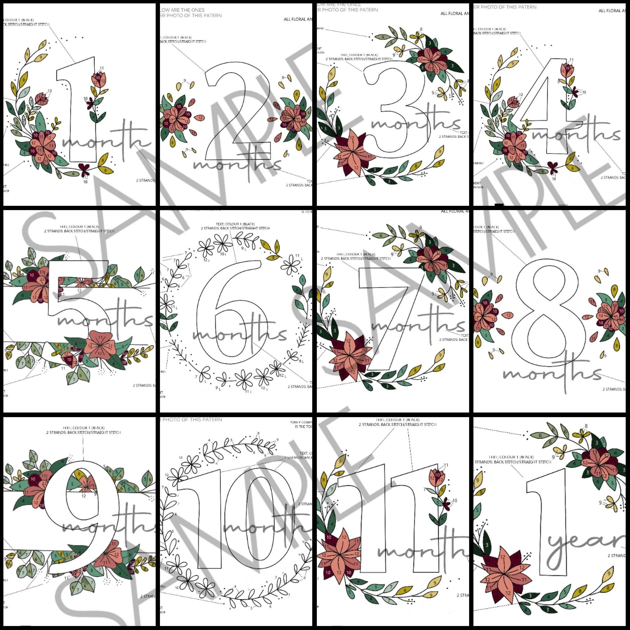 Baby Floral Milestones (6inch Hoops - 12 Patterns Total) - PDF Digital Download Embroidery Pattern & Guide