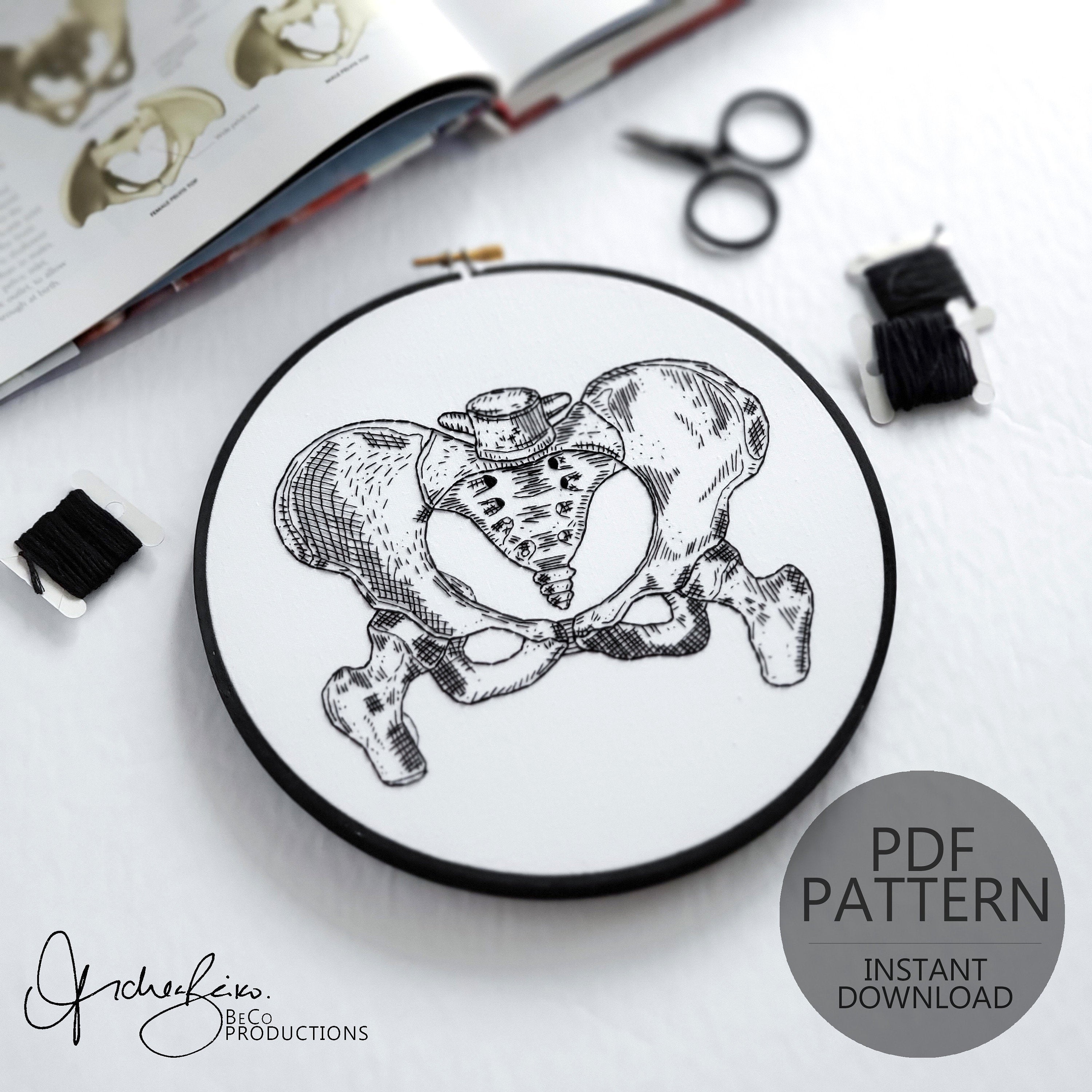 Pelvis Anatomy - PDF Digital Download Embroidery Pattern & Guide