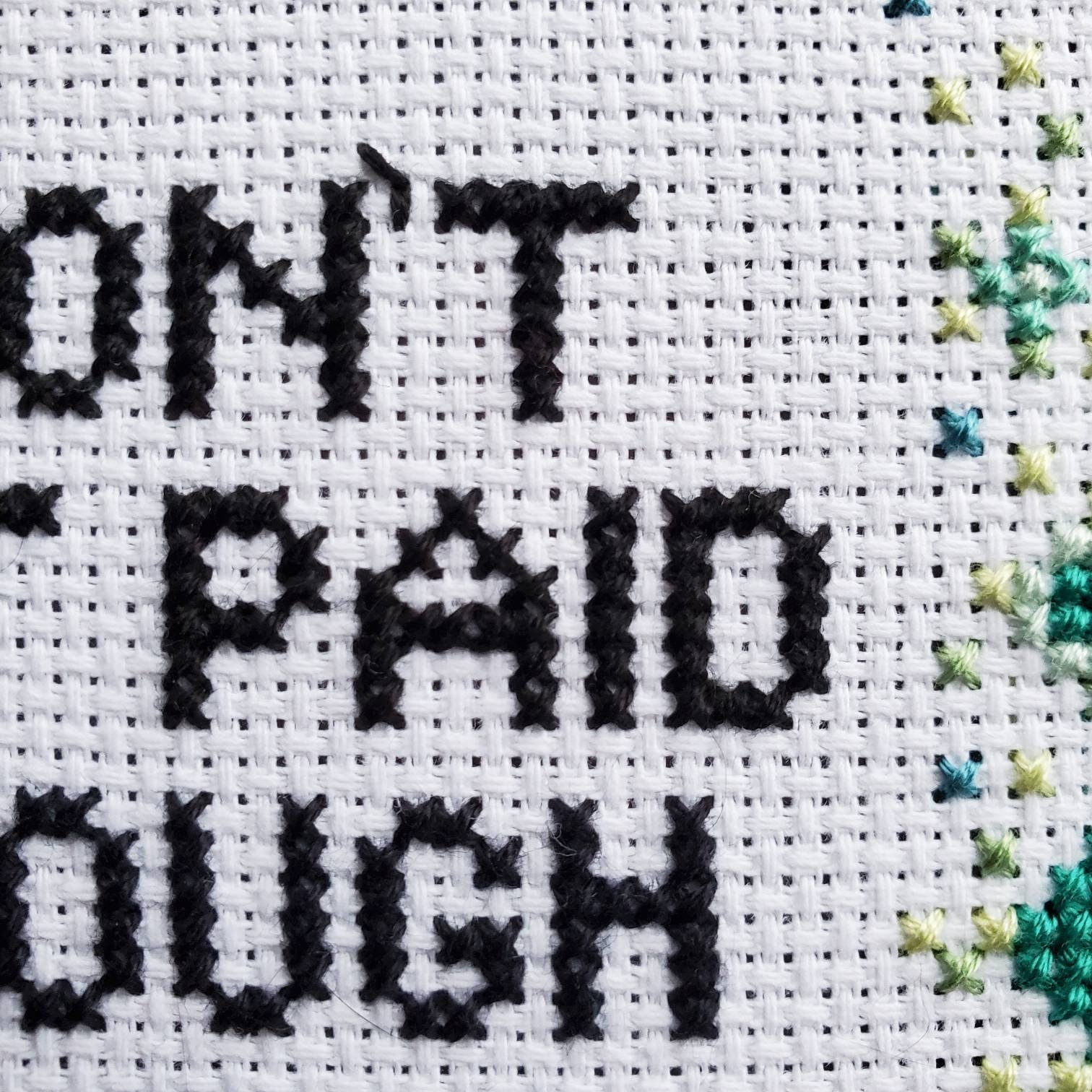 I Don't Get Paid Enough For This Shit - PDF Digital Download Cross Stitch Pattern & Guide