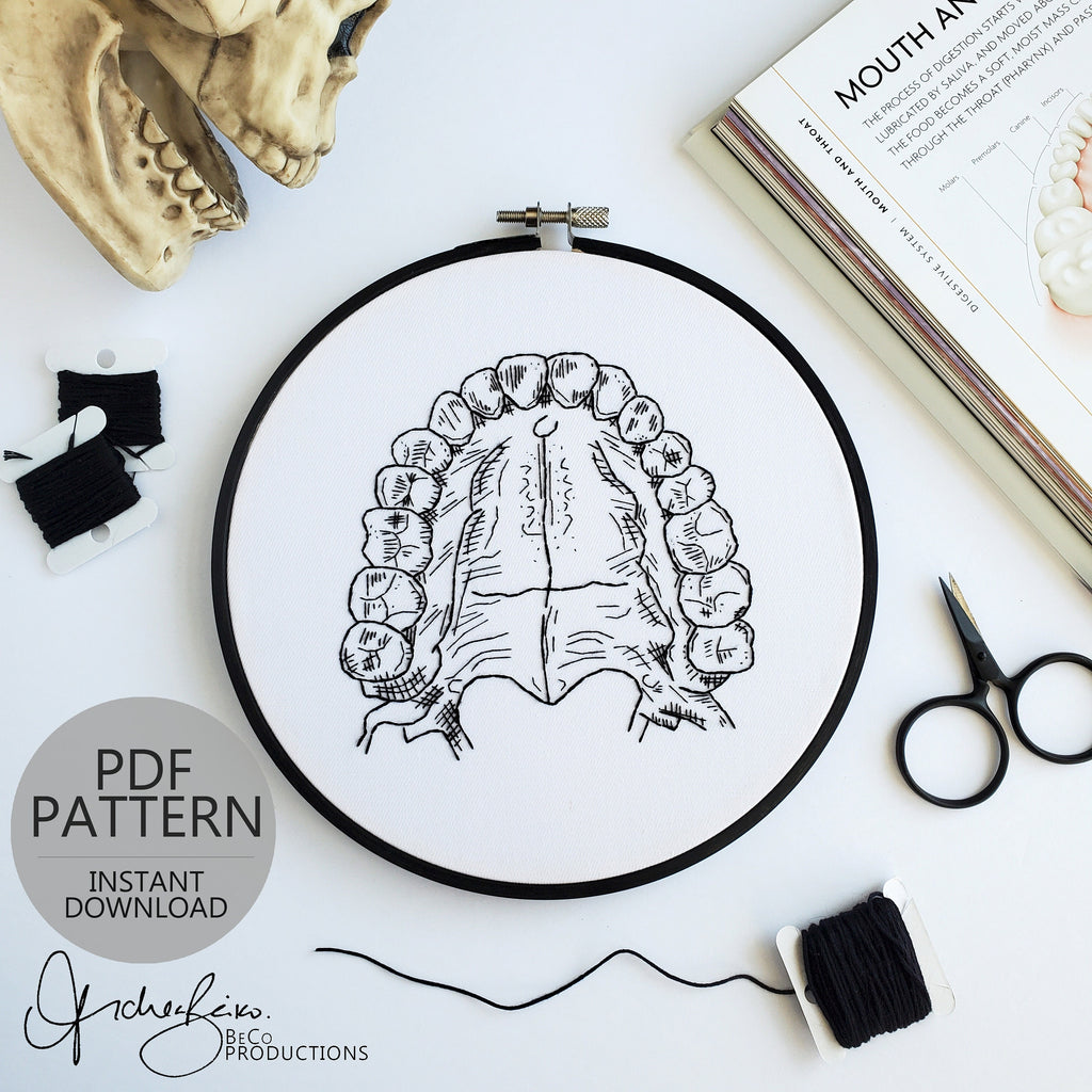 Teeth/Jaw Anatomy - PDF Digital Download Embroidery Pattern & Guide