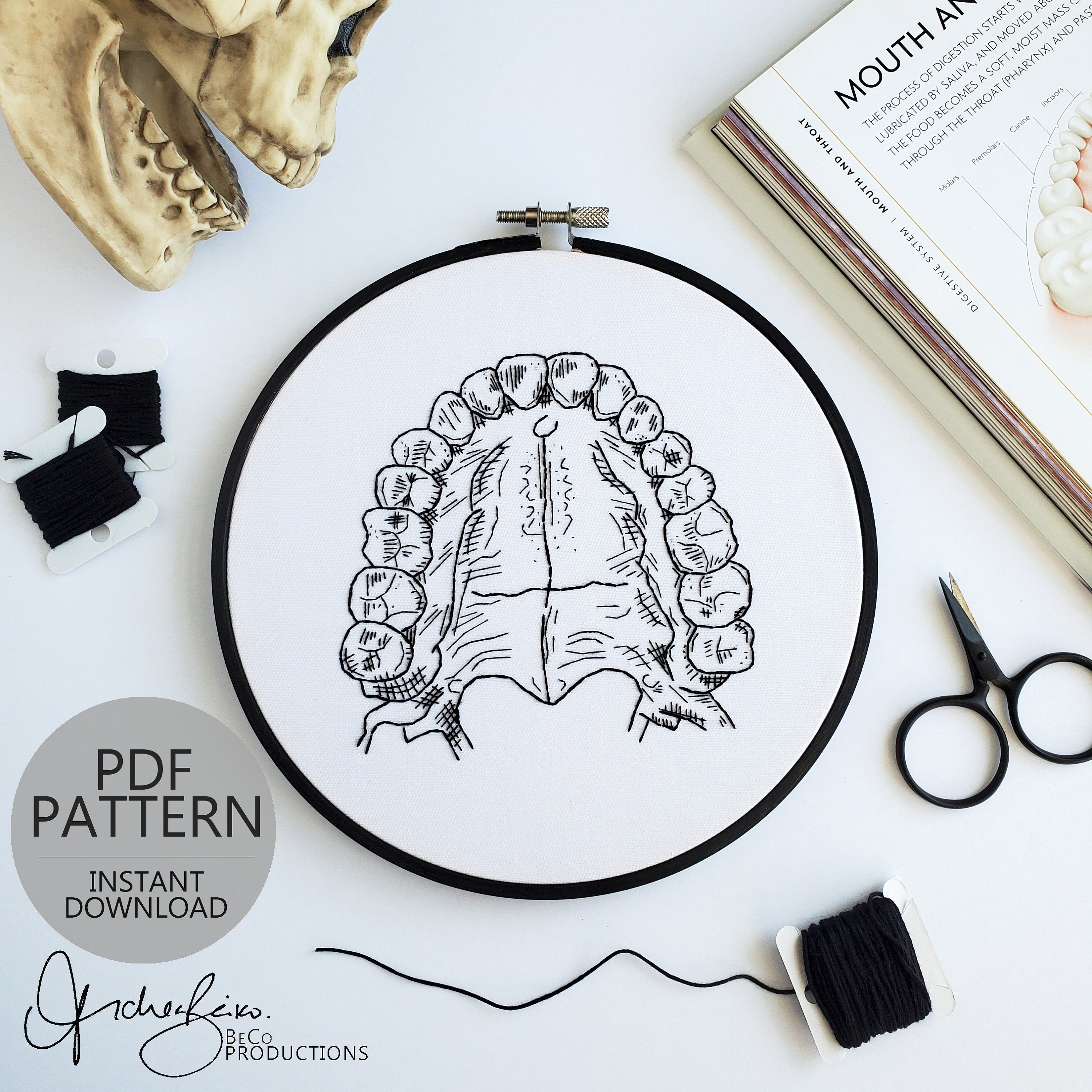 Teeth/Jaw Anatomy - PDF Digital Download Embroidery Pattern & Guide