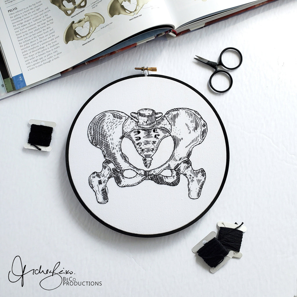 Anatomy Embroidery Series BUNDLE - PDF Digital Download Embroidery Patterns