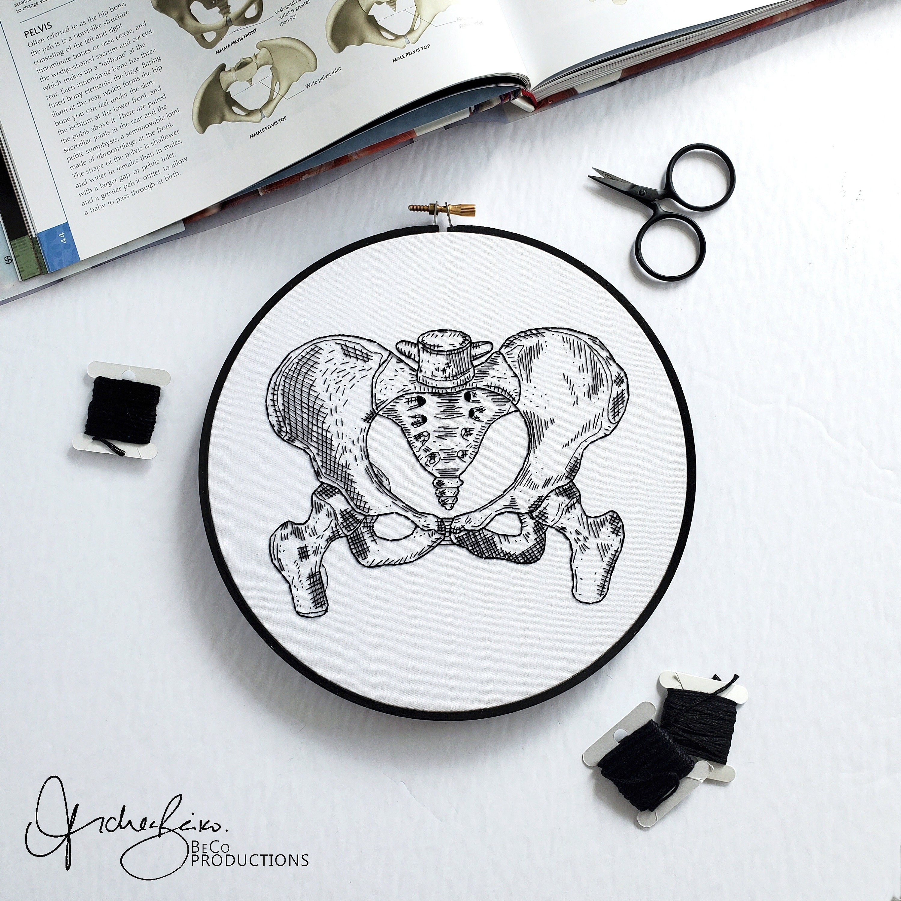 Anatomy Embroidery Series BUNDLE - PDF Digital Download Embroidery Patterns