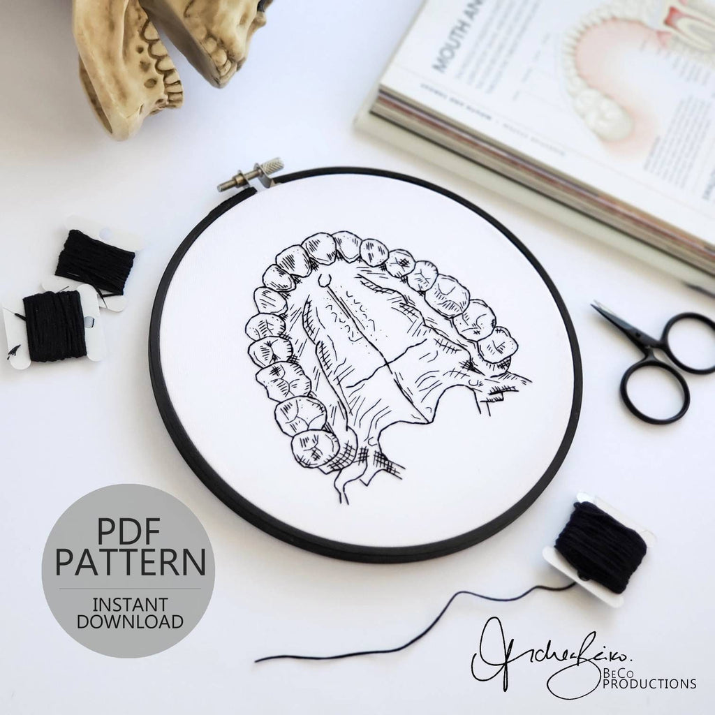 Teeth/Jaw Anatomy - PDF Digital Download Embroidery Pattern & Guide