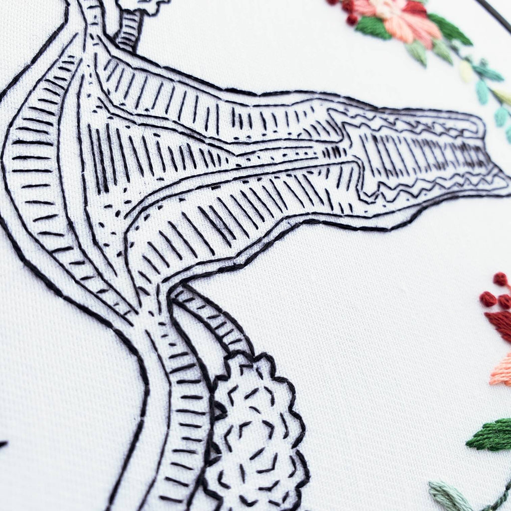 No Uterus No Opinion - Floral Uterus Anatomy PDF Digital Download Embroidery Pattern & Guide