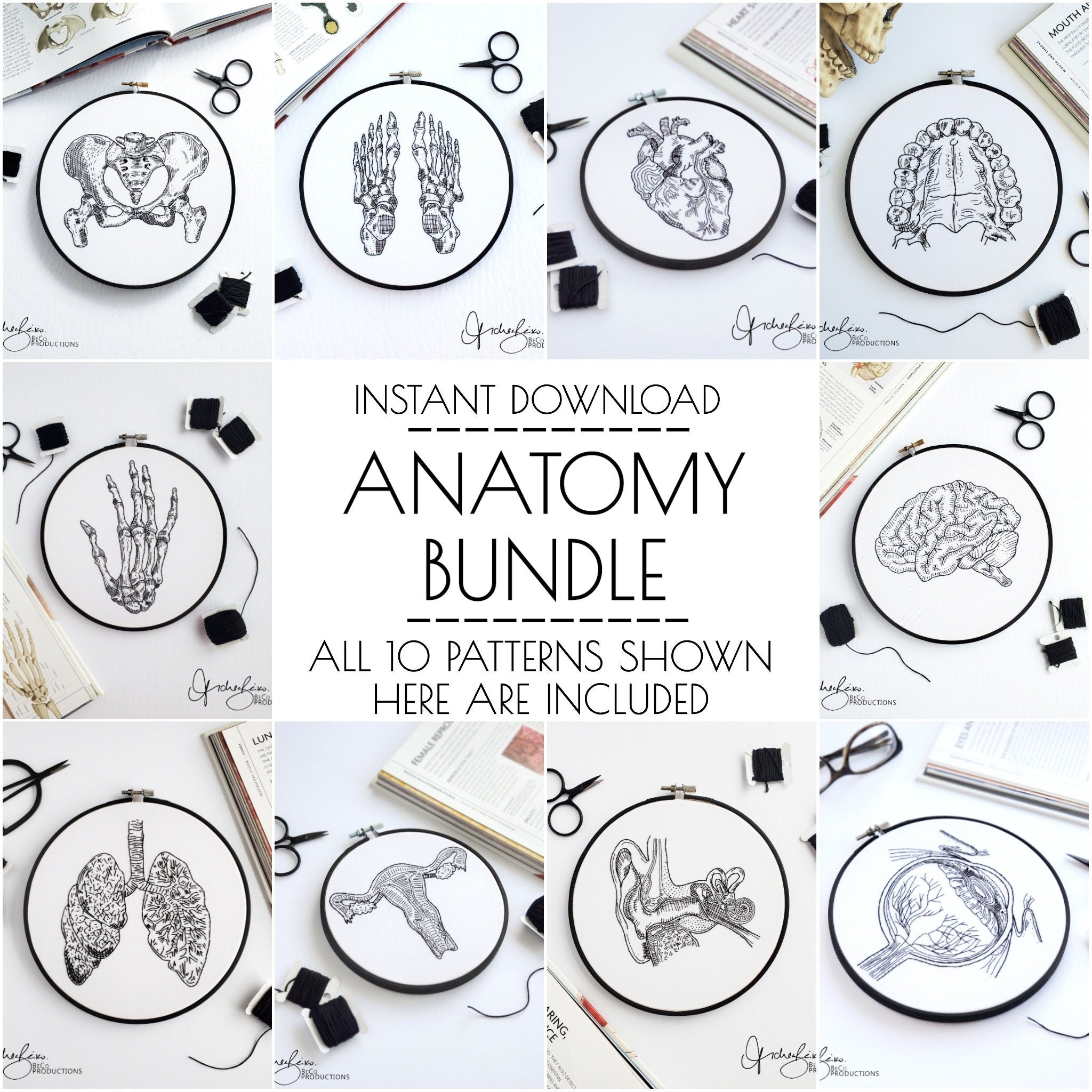 Anatomy Embroidery Series BUNDLE - PDF Digital Download Embroidery Patterns