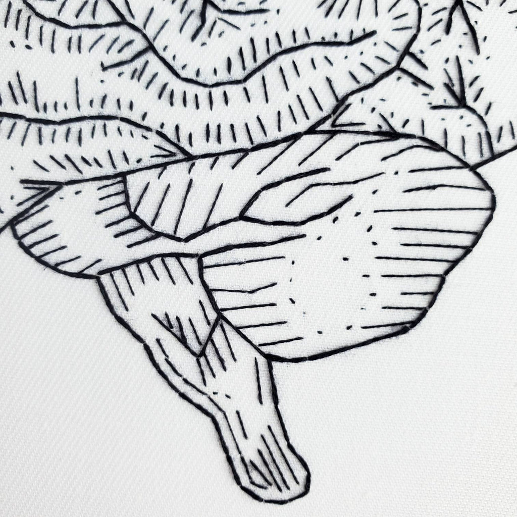 Brain Anatomy - PDF Digital Download Embroidery Pattern & Guide