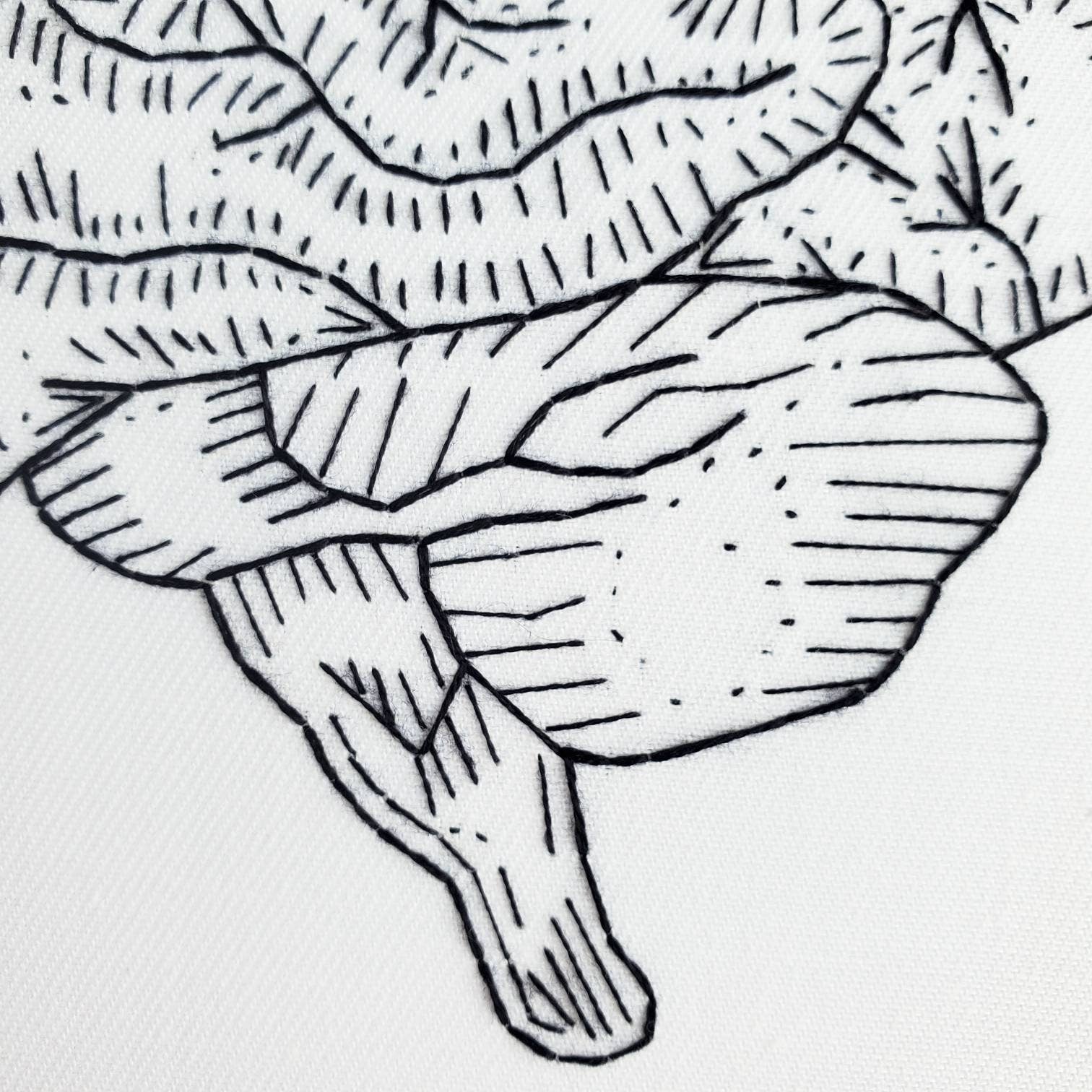 Brain Anatomy - PDF Digital Download Embroidery Pattern & Guide