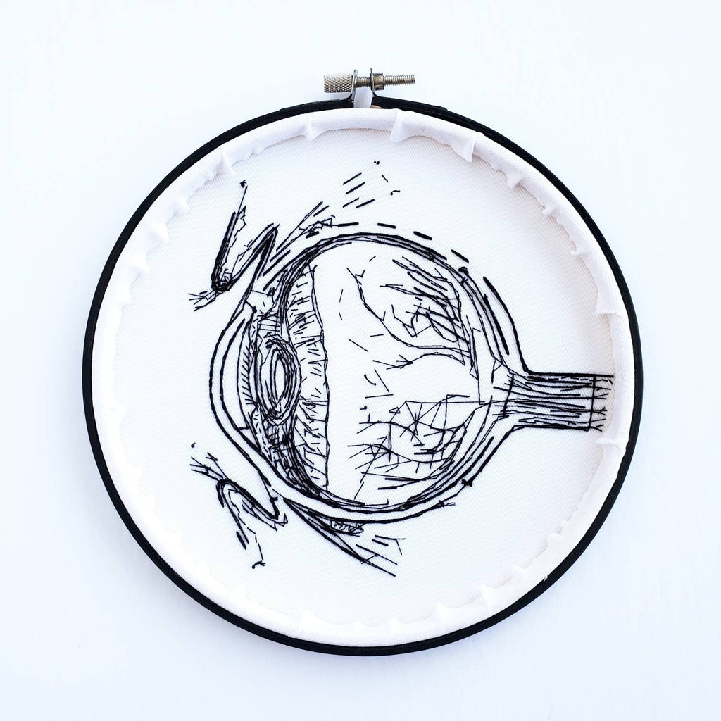 Eyeball Anatomy - PDF Digital Download Embroidery Pattern & Guide