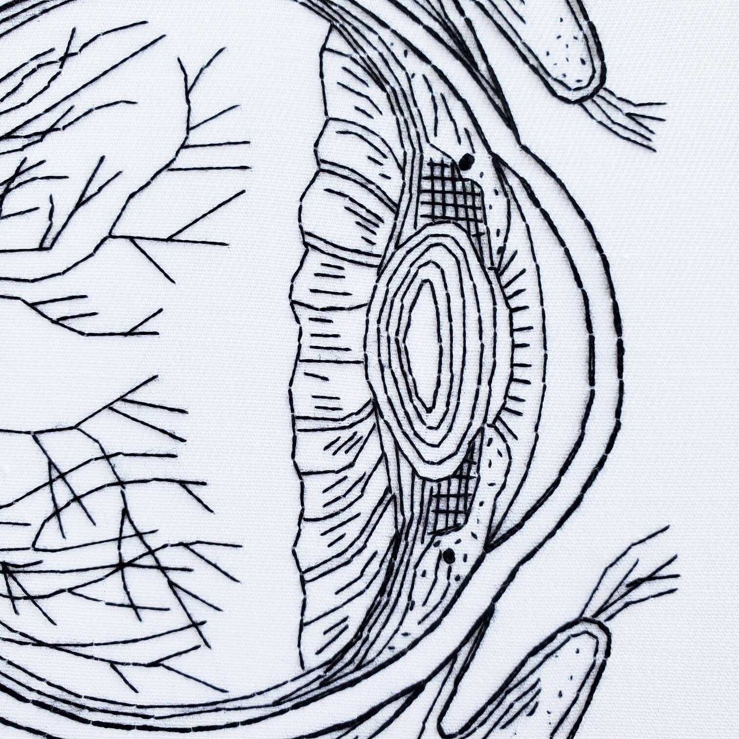 Eyeball Anatomy - PDF Digital Download Embroidery Pattern & Guide