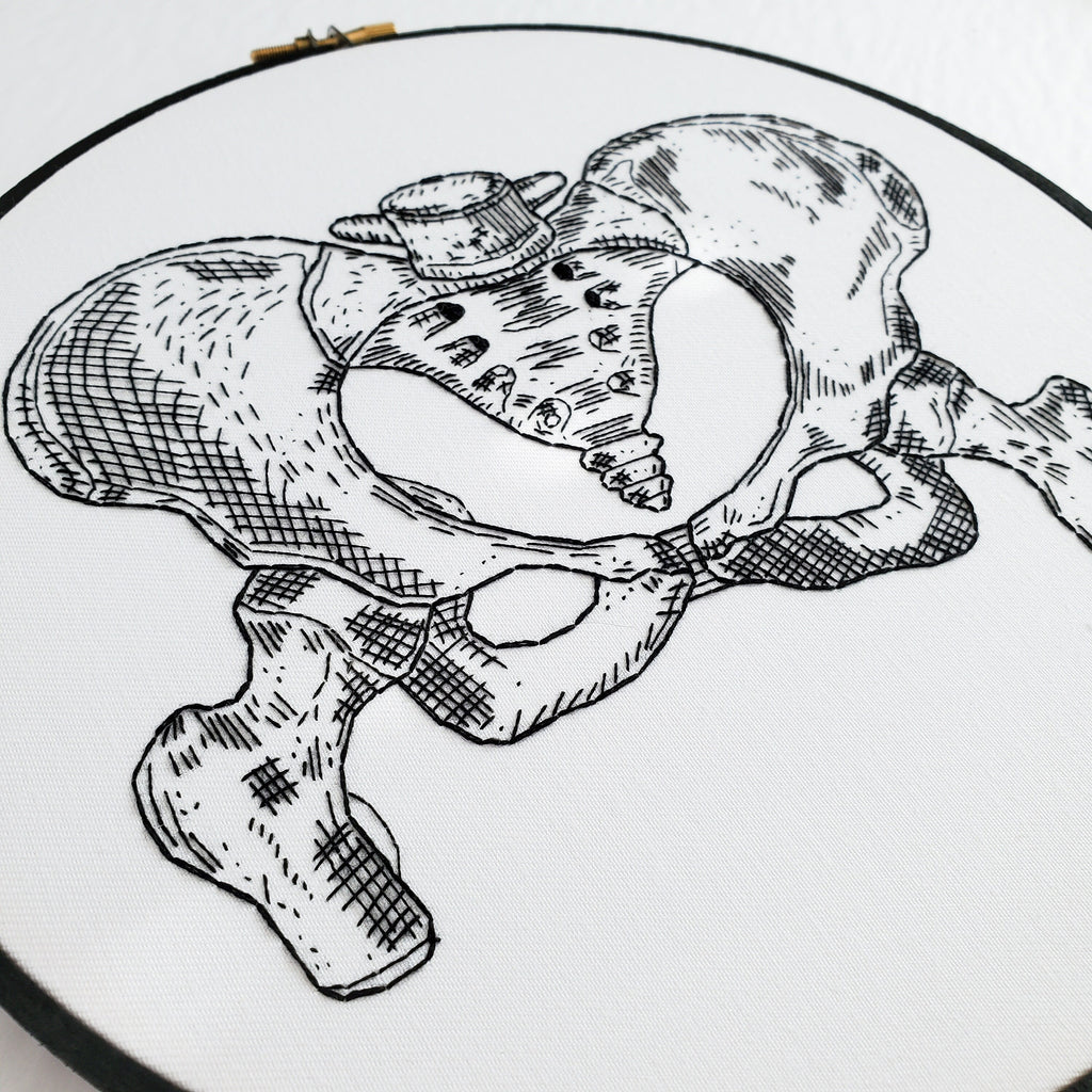 Pelvis Anatomy - PDF Digital Download Embroidery Pattern & Guide