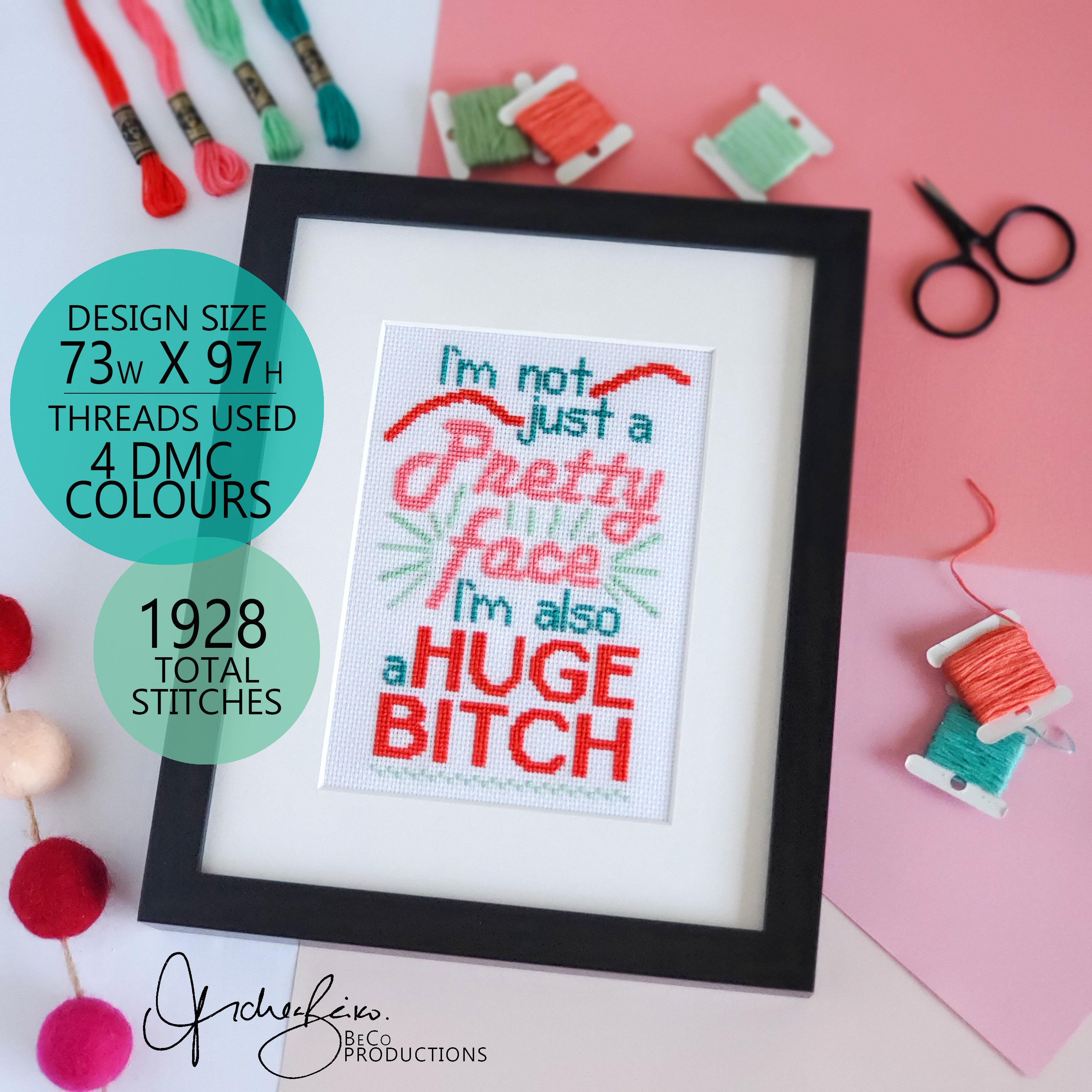 I'm Not Just A Pretty Face I'm Also A Huge Bitch - PDF Digital Download Cross Stitch Pattern & Guide (Copy)