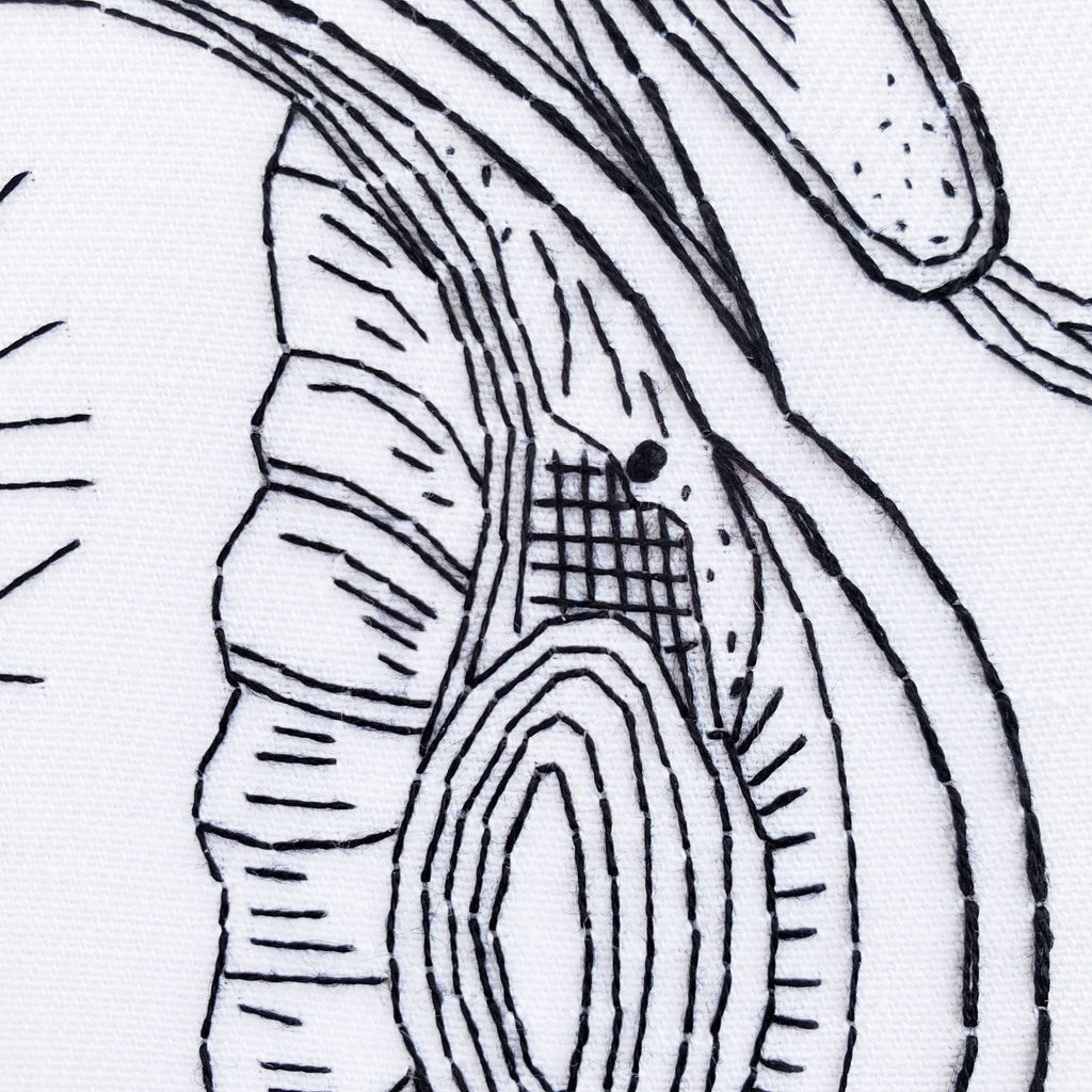 Eyeball Anatomy - PDF Digital Download Embroidery Pattern & Guide