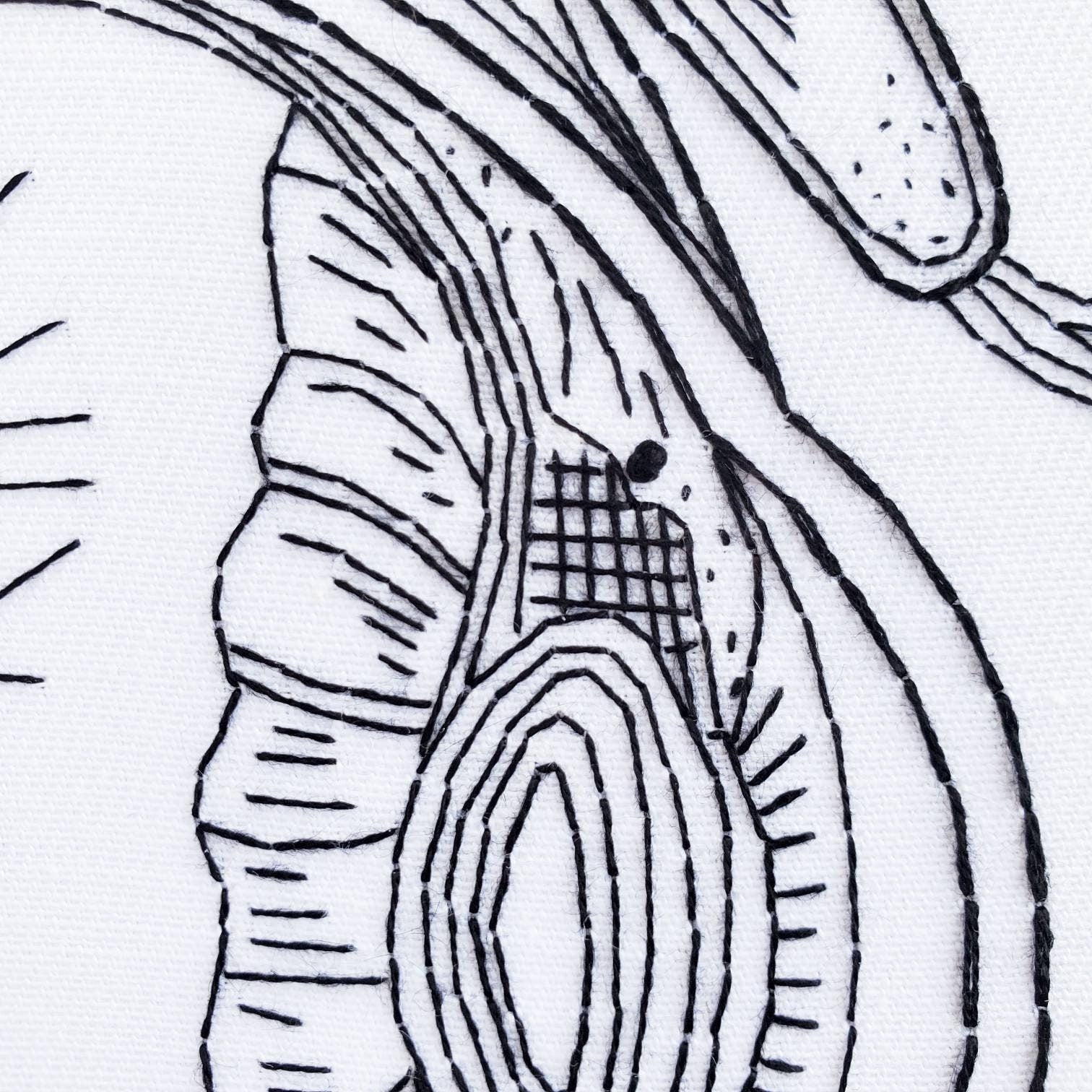 Eyeball Anatomy - PDF Digital Download Embroidery Pattern & Guide