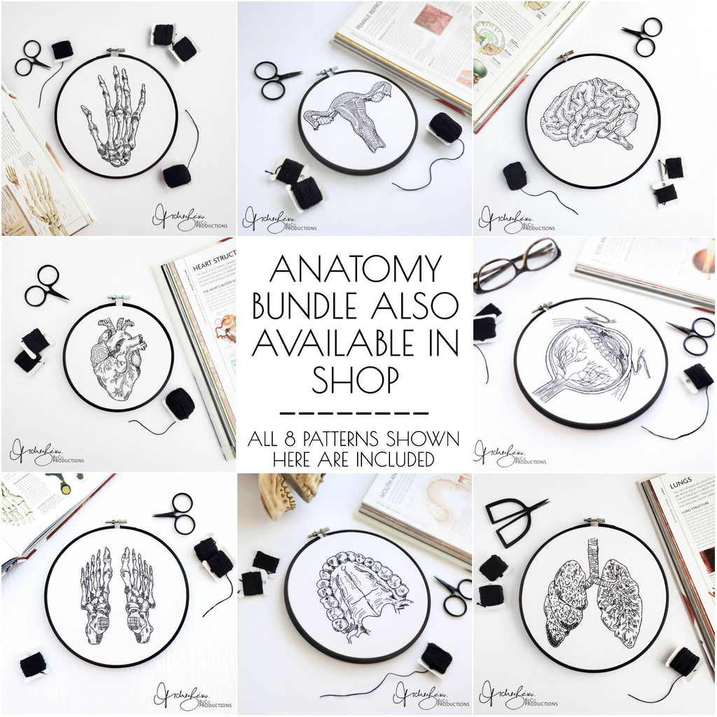 Eyeball Anatomy - PDF Digital Download Embroidery Pattern & Guide
