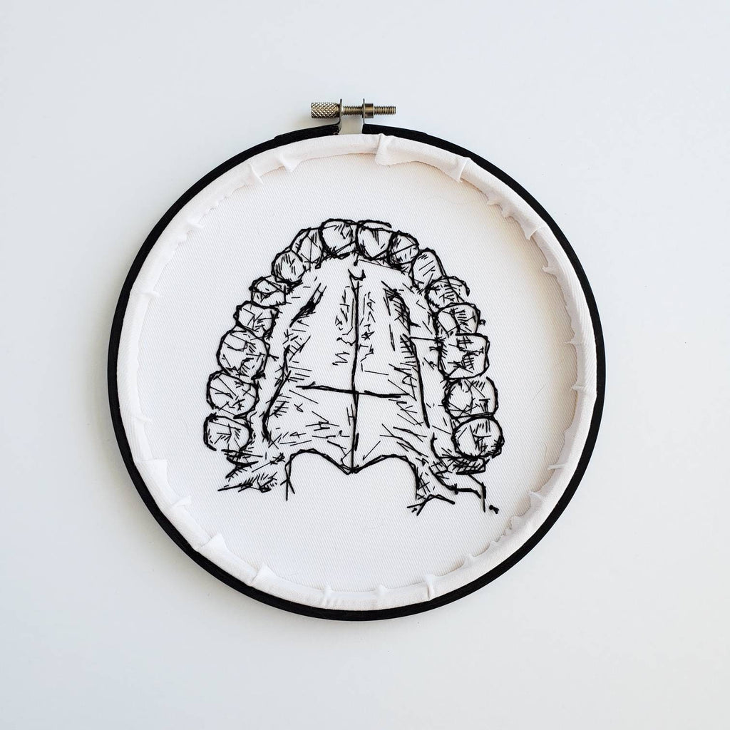 Teeth/Jaw Anatomy - PDF Digital Download Embroidery Pattern & Guide