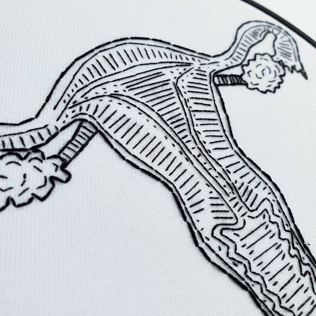 Female Reproductive System Anatomy - PDF Digital Download Embroidery Pattern & Guide