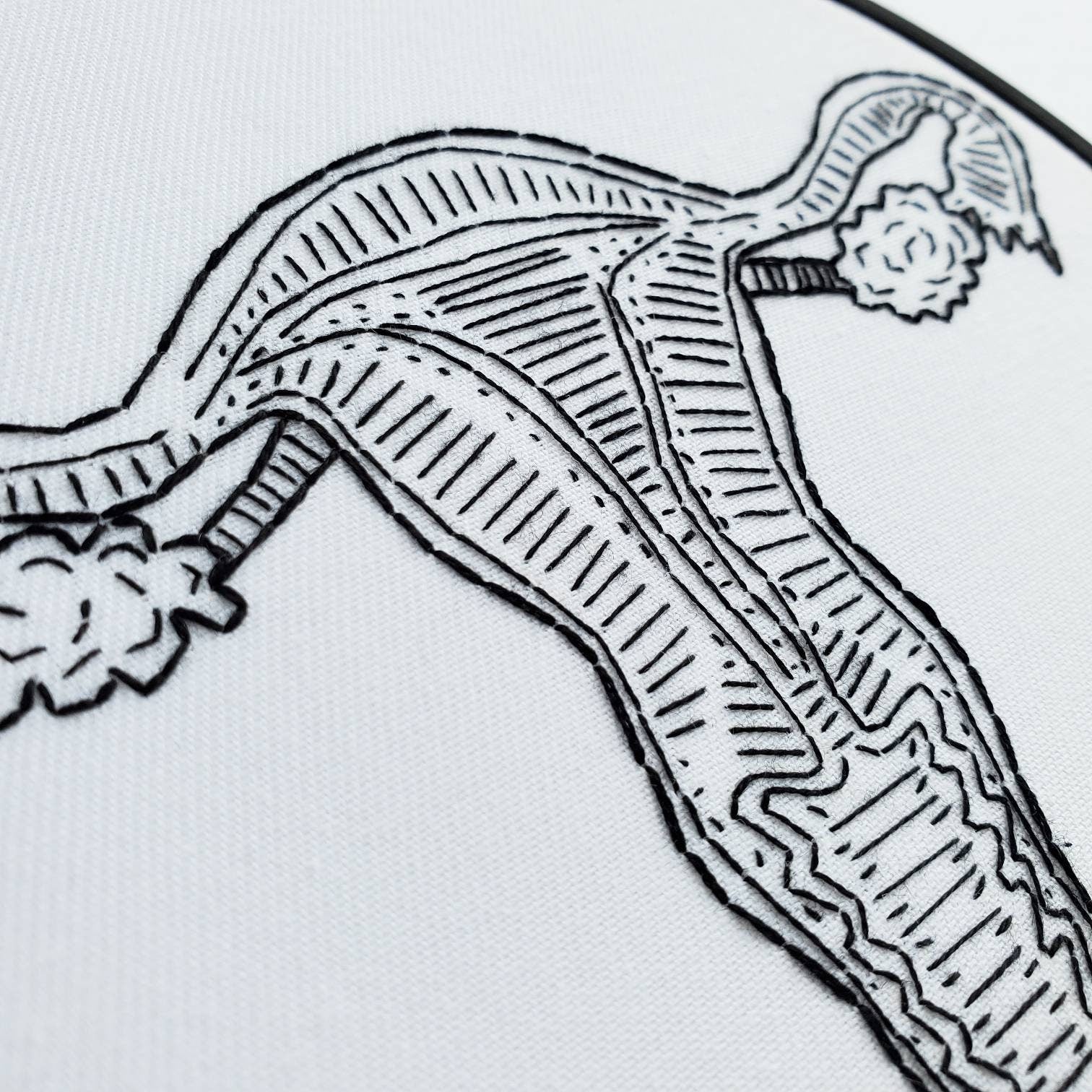 Female Reproductive System Anatomy - PDF Digital Download Embroidery Pattern & Guide