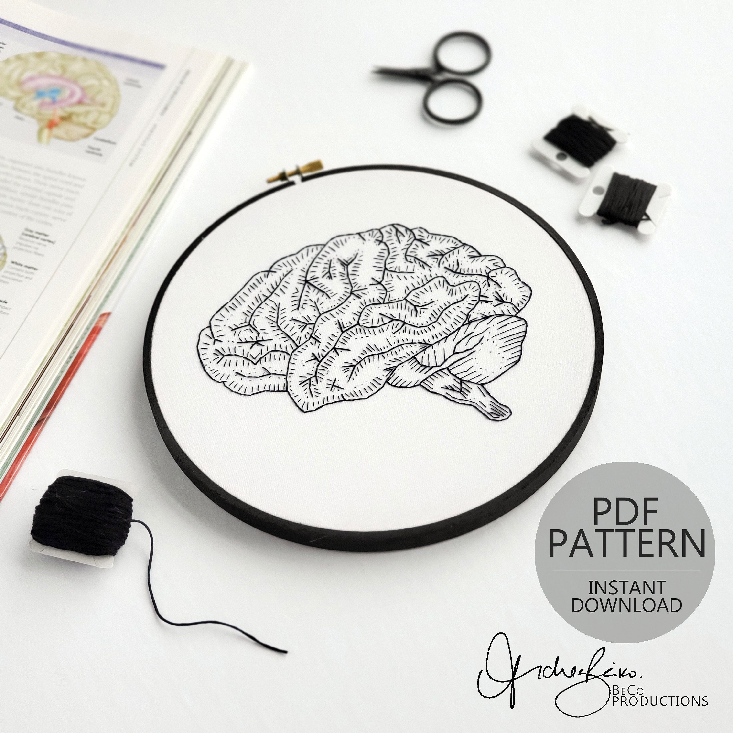 Brain Anatomy - PDF Digital Download Embroidery Pattern & Guide