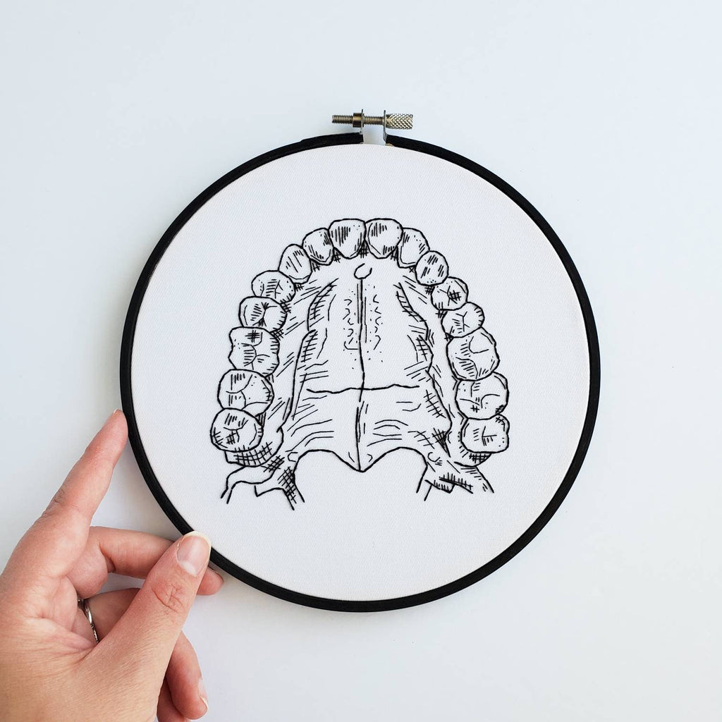 Teeth/Jaw Anatomy - PDF Digital Download Embroidery Pattern & Guide